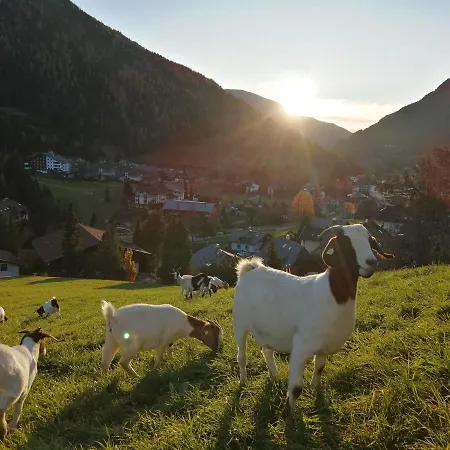 Gutzingerhof Alojamento de Turismo Rural Bad Kleinkirchheim