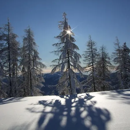 Gutzingerhof ファームステイ