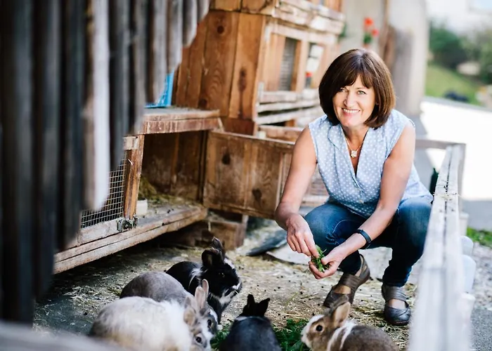 Farmház Gutzingerhof